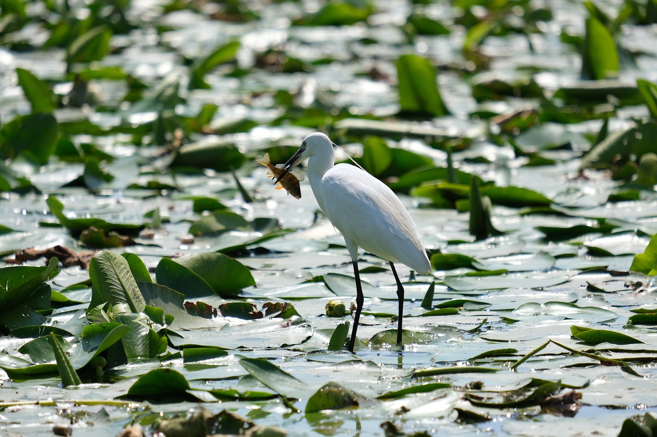 The Importance of Water Conservation
